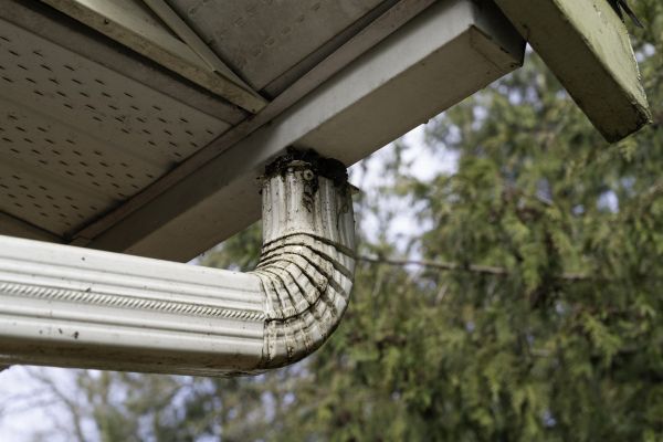 Cost of Roof Drain Replacement in Simpsonville