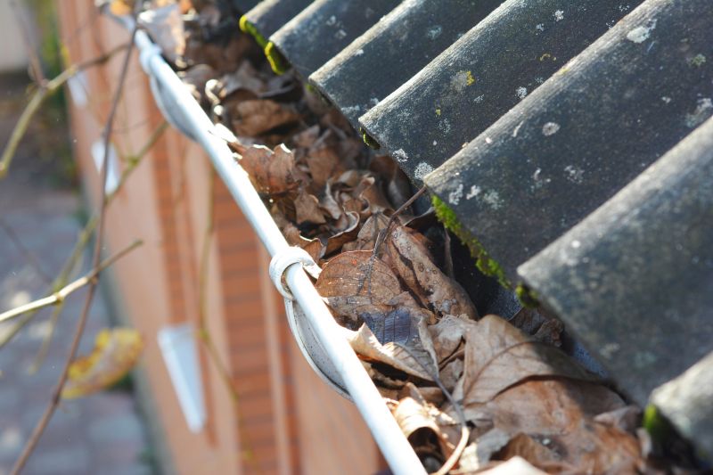 Clogged Gutter Problems